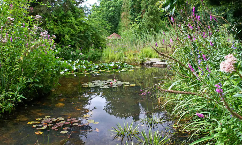 برکه مصنوعی ویلا بام ساز برکه ویلایی