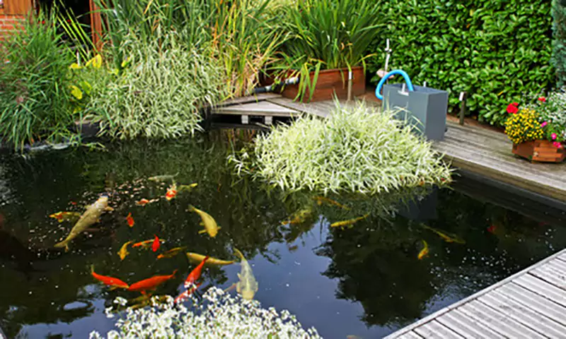 برکه مصنوعی ویلا بام ساز برکه باغی